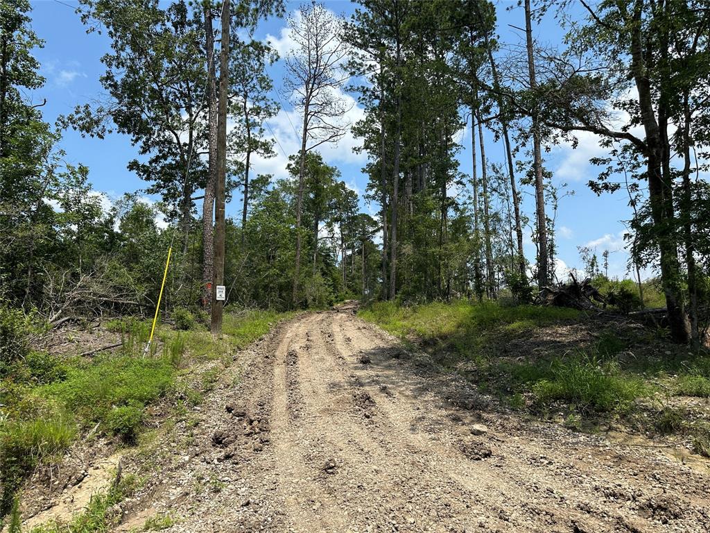 720 County Road 2834, Colmesneil, Texas image 4