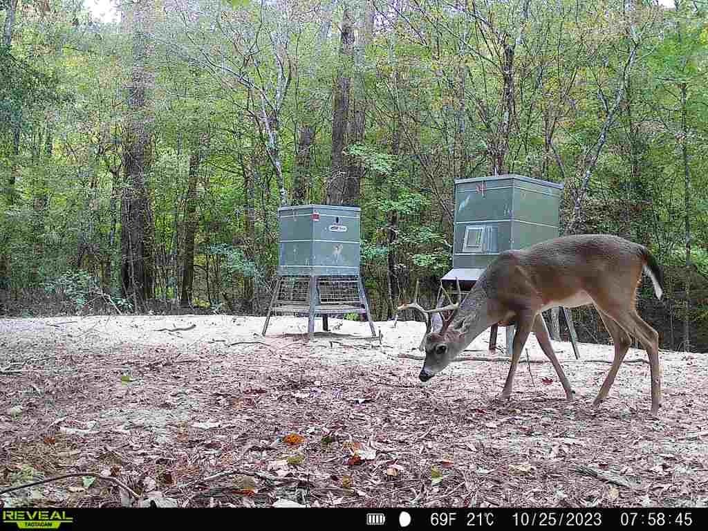 720 County Road 2834, Colmesneil, Texas image 37