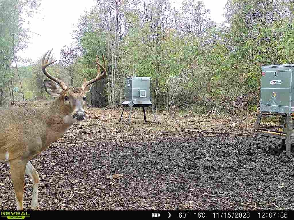 720 County Road 2834, Colmesneil, Texas image 43