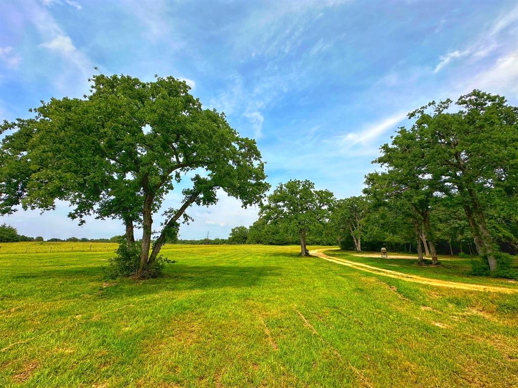 5024 Fm 39 S, Marquez, Texas image 35
