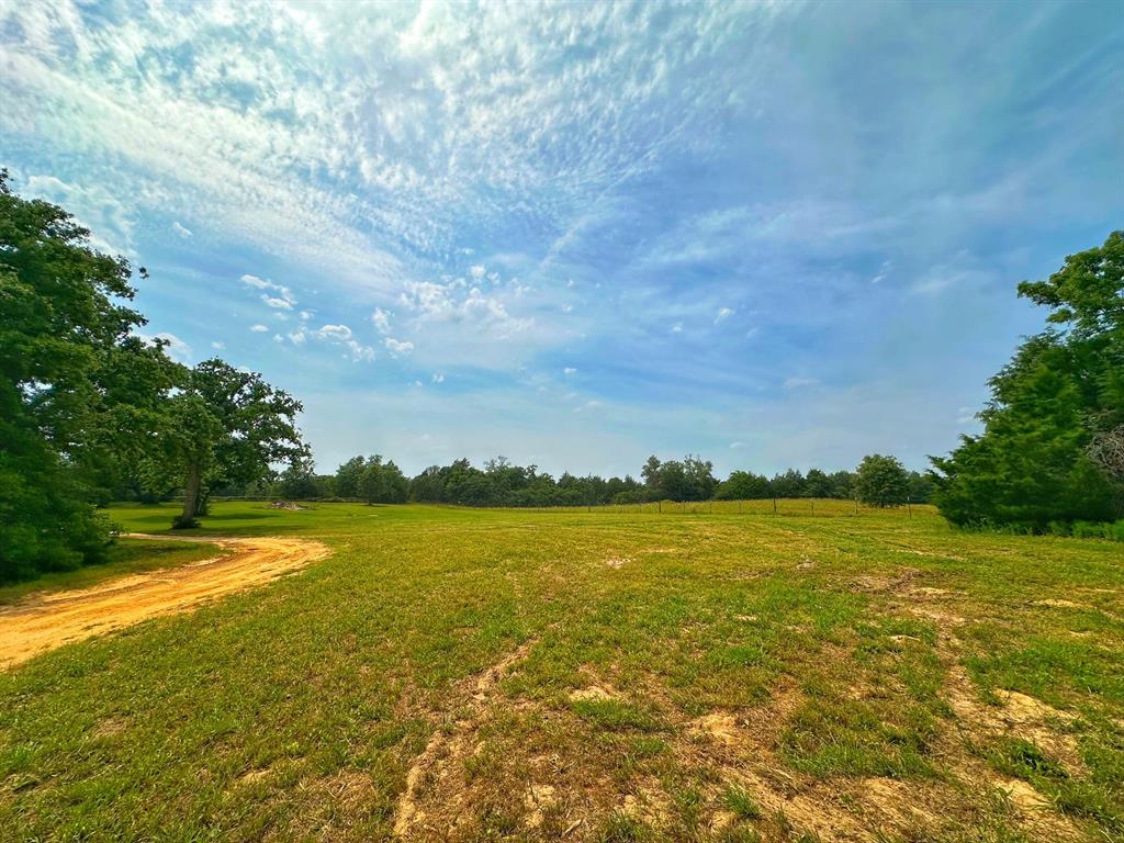 5024 Fm 39 S, Marquez, Texas image 34