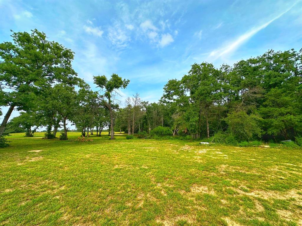 5024 Fm 39 S, Marquez, Texas image 32