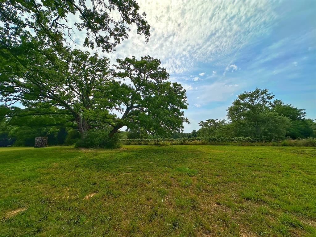 5024 Fm 39 S, Marquez, Texas image 38