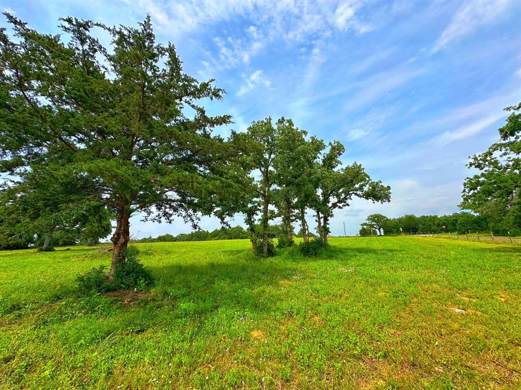 5024 Fm 39 S, Marquez, Texas image 36