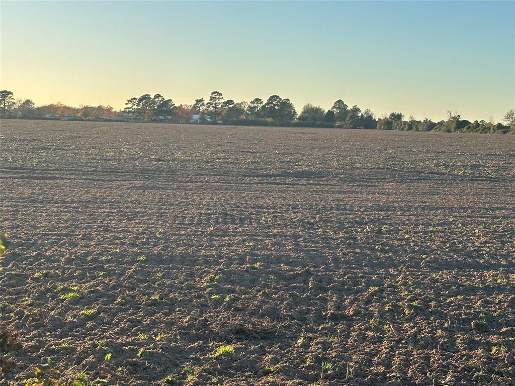 Imhof Road, Waller, Texas image 2