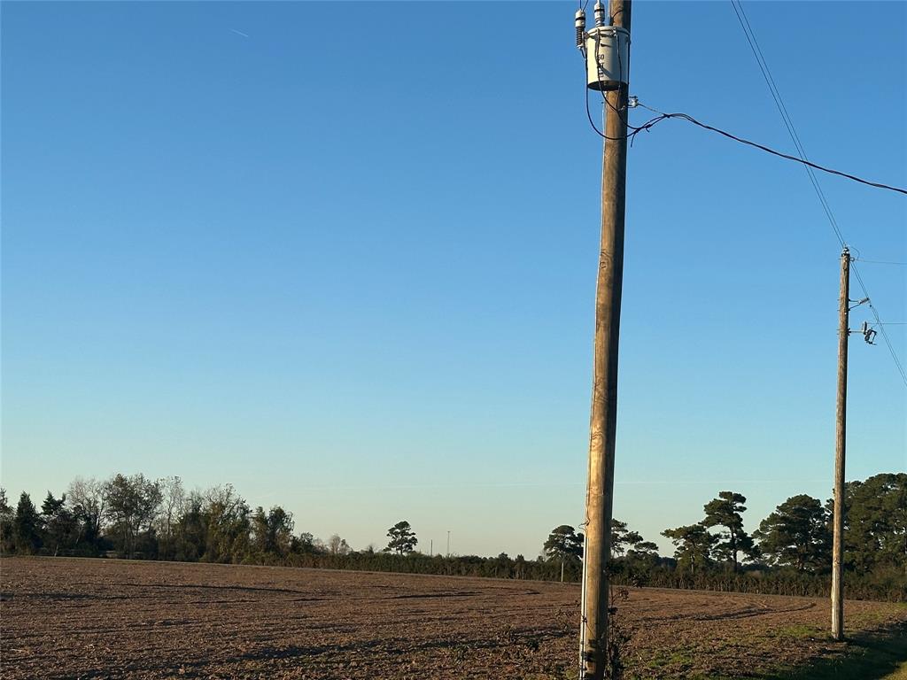 Imhof Road, Waller, Texas image 5