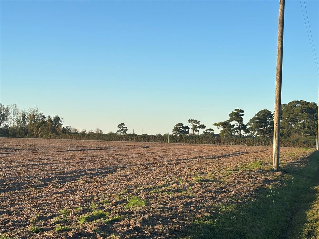 Imhof Road, Waller, Texas image 3