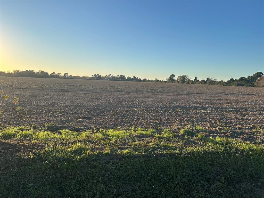 Imhof Road, Waller, Texas image 1