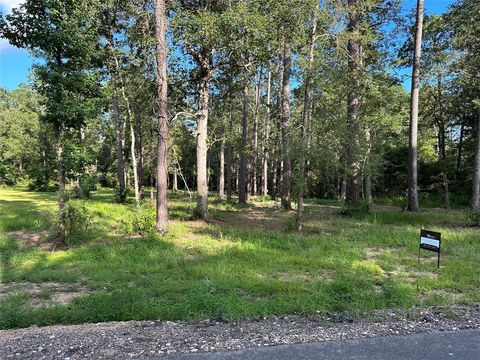 Photo of 1475 Lakewood Drive, Ivanhoe, TX 75979 (MLS # 47429709)