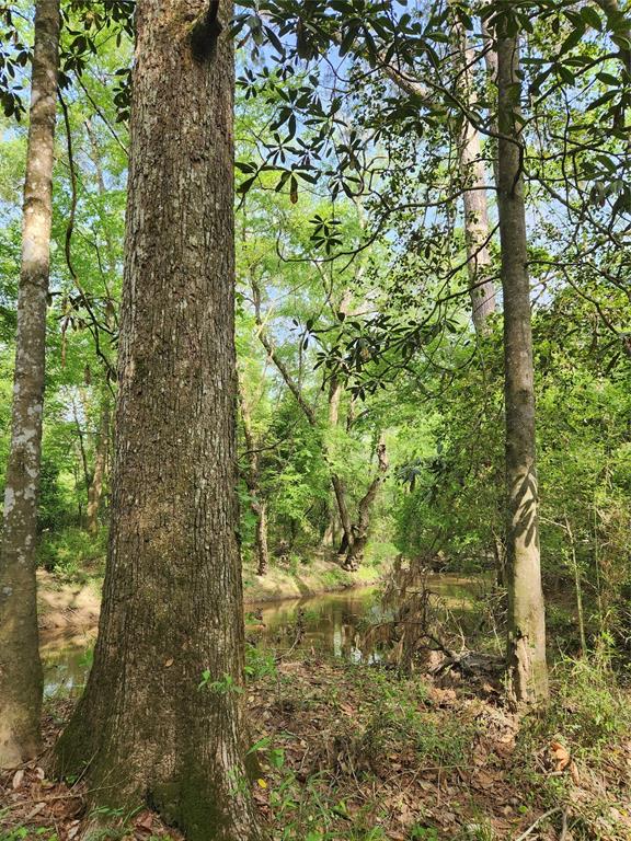 TBD Ward Road, Cleveland, Texas image 13