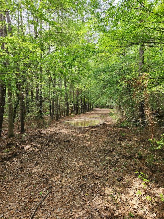 TBD Ward Road, Cleveland, Texas image 3