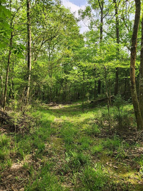 TBD Ward Road, Cleveland, Texas image 10