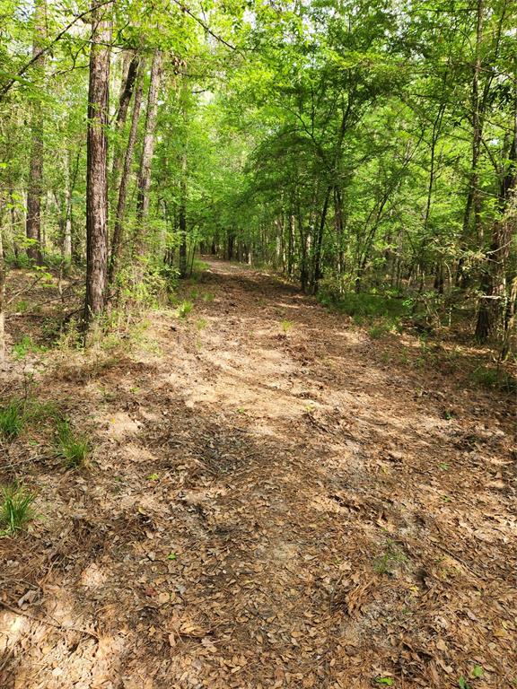 TBD Ward Road, Cleveland, Texas image 4