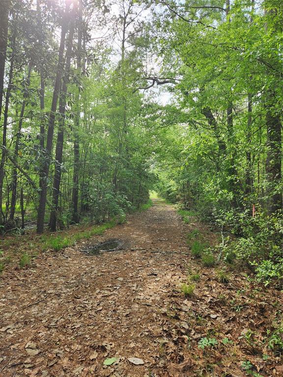 TBD Ward Road, Cleveland, Texas image 2