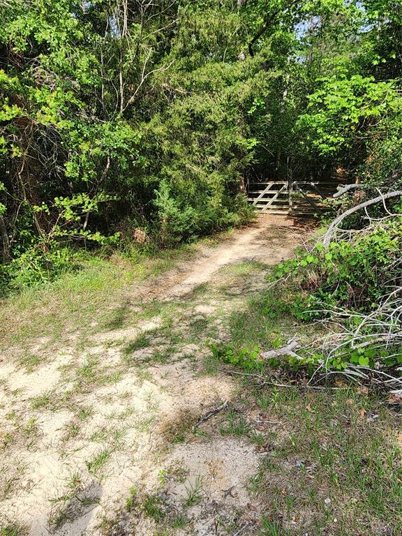 TBD Ward Road, Cleveland, Texas image 16