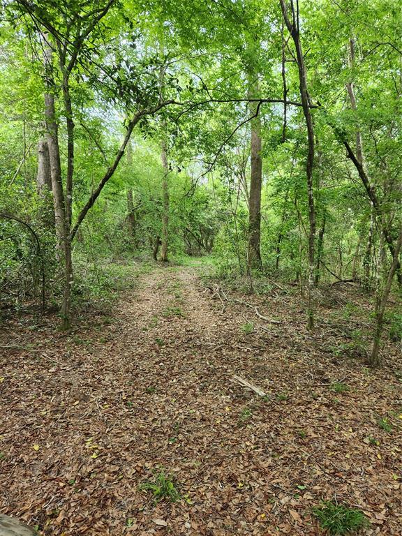 TBD Ward Road, Cleveland, Texas image 5