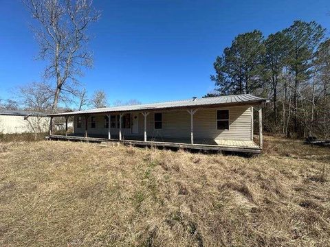 Photo of 623 County Road 786, Buna, TX 77612 (MLS # 42338841)