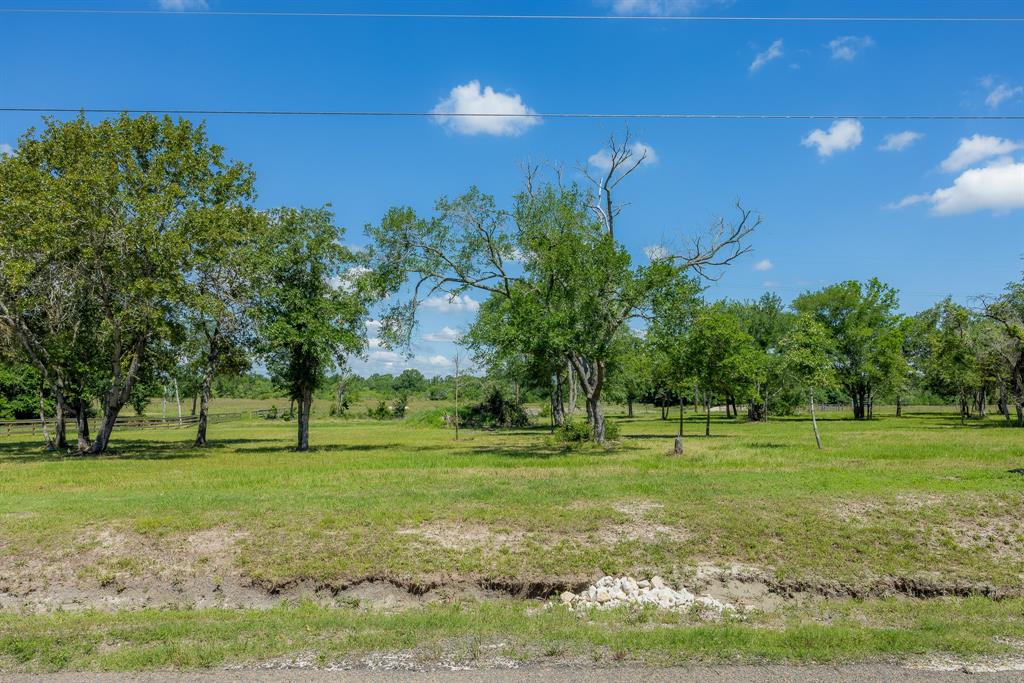 6681 Atakapan Trail, Bedias, Texas image 3