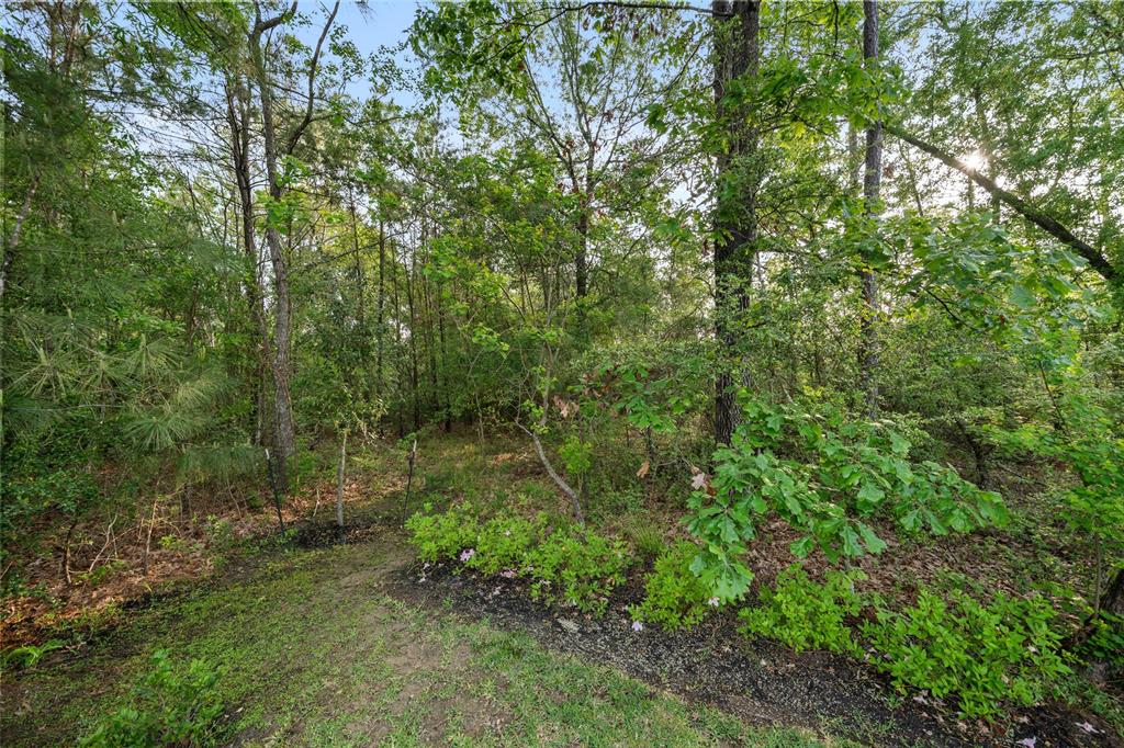 5335 Fairfield Chase Crossing, Porter, Texas image 23