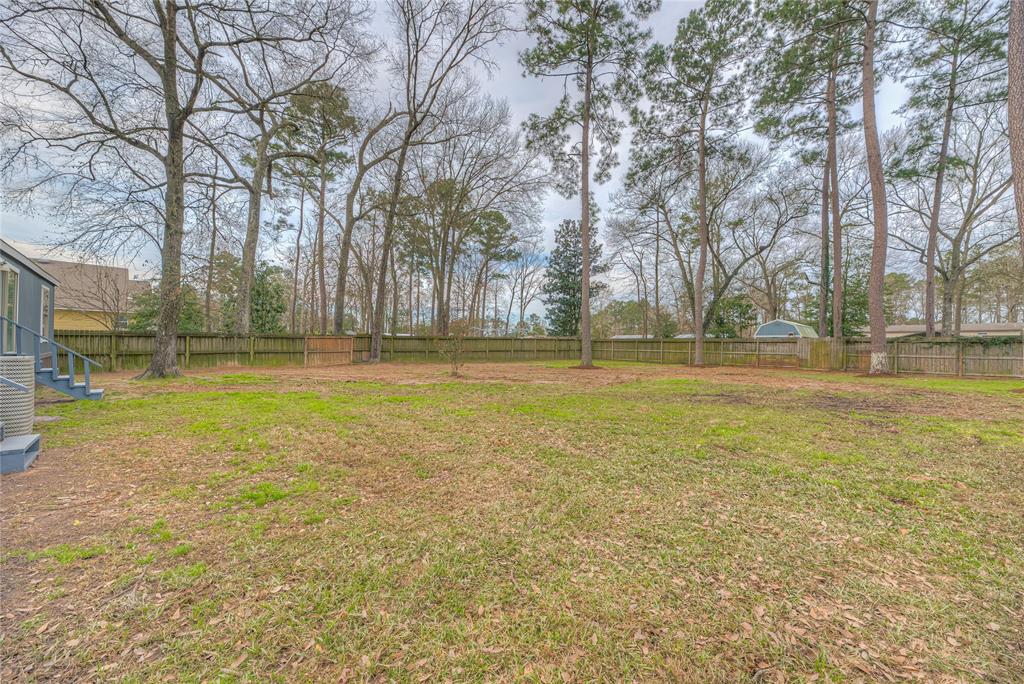 23935 Carpenter Bee Dr Dr, New Caney, Texas image 18