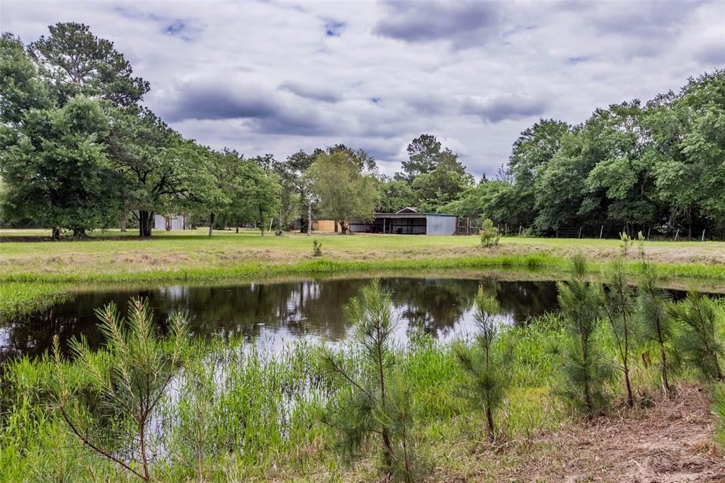 3812 Private Road 2034, Caldwell, Texas image 9