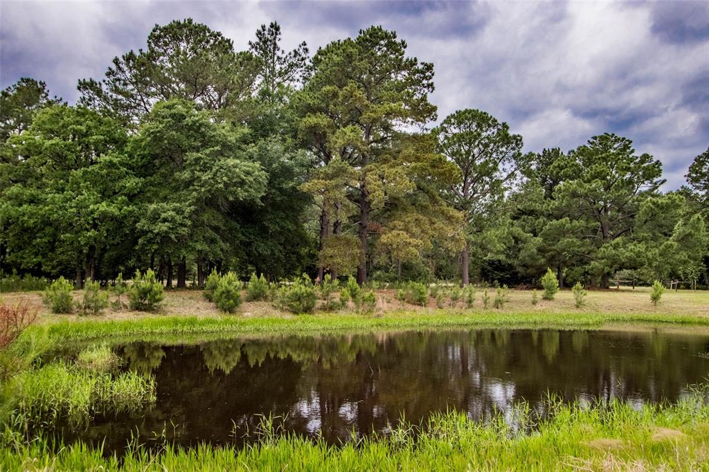 3812 Private Road 2034, Caldwell, Texas image 8