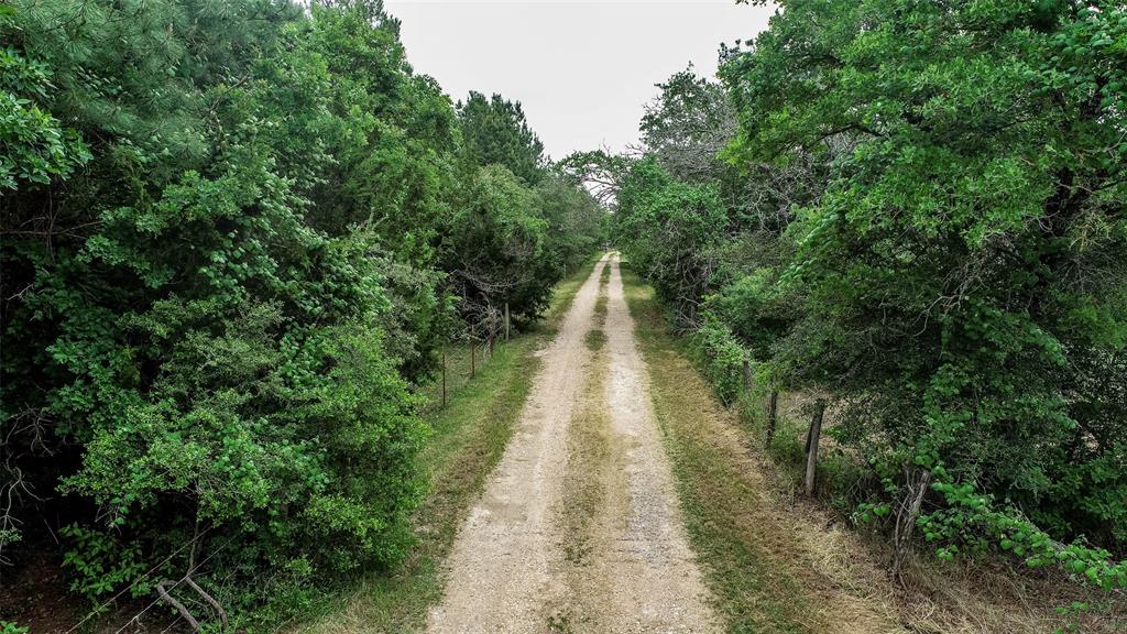 3812 Private Road 2034, Caldwell, Texas image 13