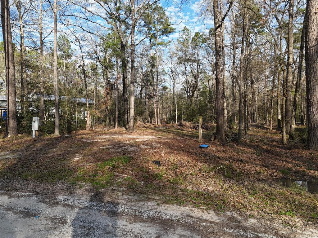 194 Oakridge, Livingston, Texas image 2