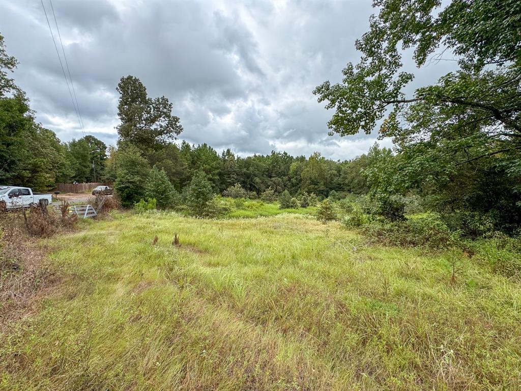 Jasmine Rd, Gilmer, Texas image 16