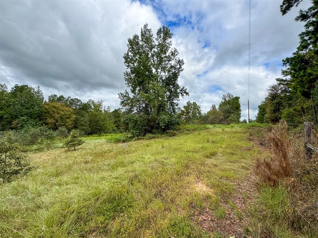 Jasmine Rd, Gilmer, Texas image 14