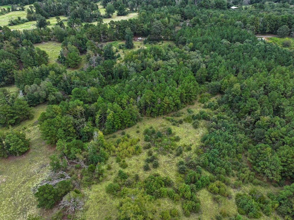 Jasmine Rd, Gilmer, Texas image 9