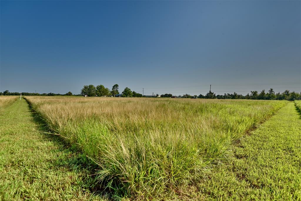 000 Fm-2919 Lot 1, Beasley, Texas image 14