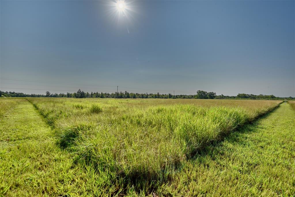 000 Fm-2919 Lot 1, Beasley, Texas image 16