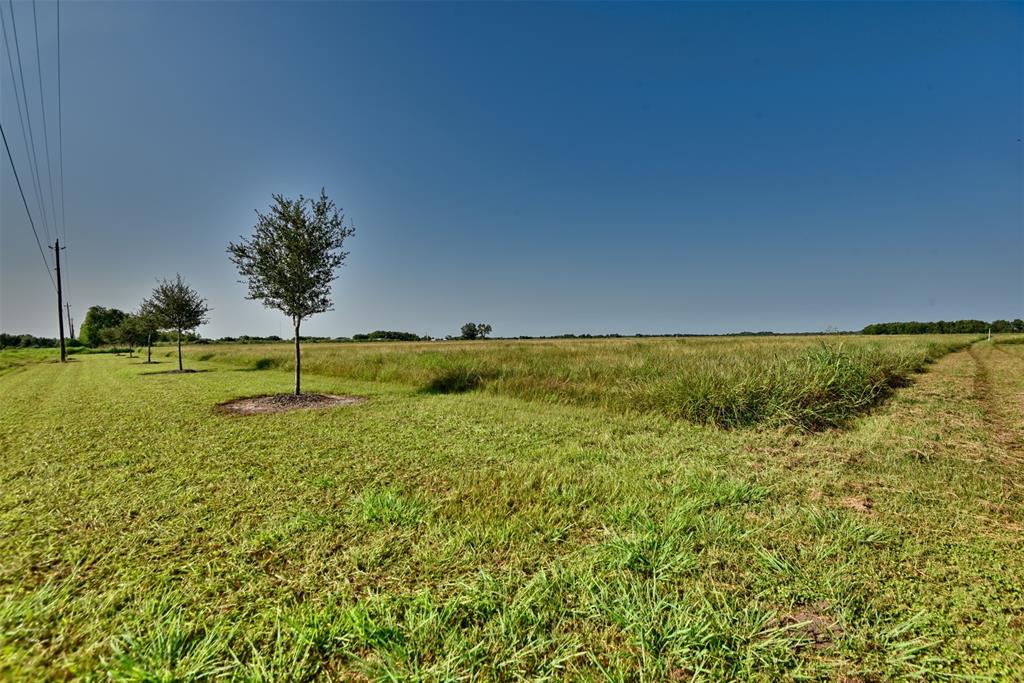 000 Fm-2919 Lot 1, Beasley, Texas image 13