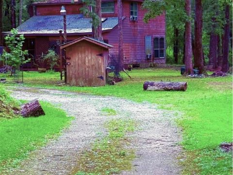 Photo of 341 Pine Valley Drive, Shepherd, TX 77371 (MLS # 22589860)