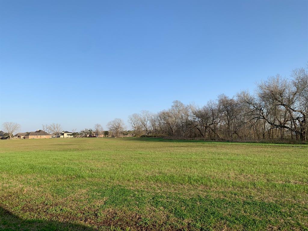 16635 Pecan Fall Court, Rosharon, Texas image 4