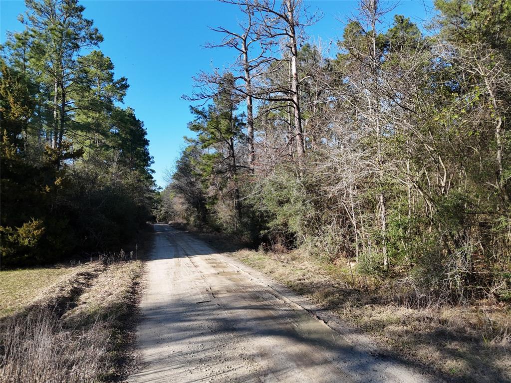 TBD Watson Road, Trinity, Texas image 10