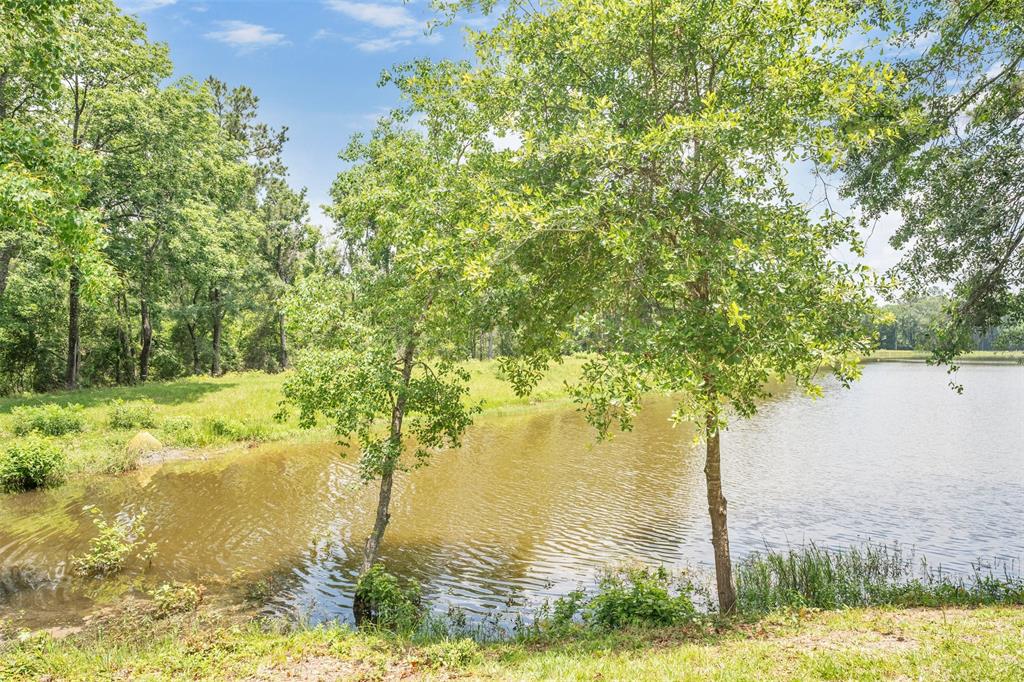 3615 Roy Bean Road, Willis, Texas image 21
