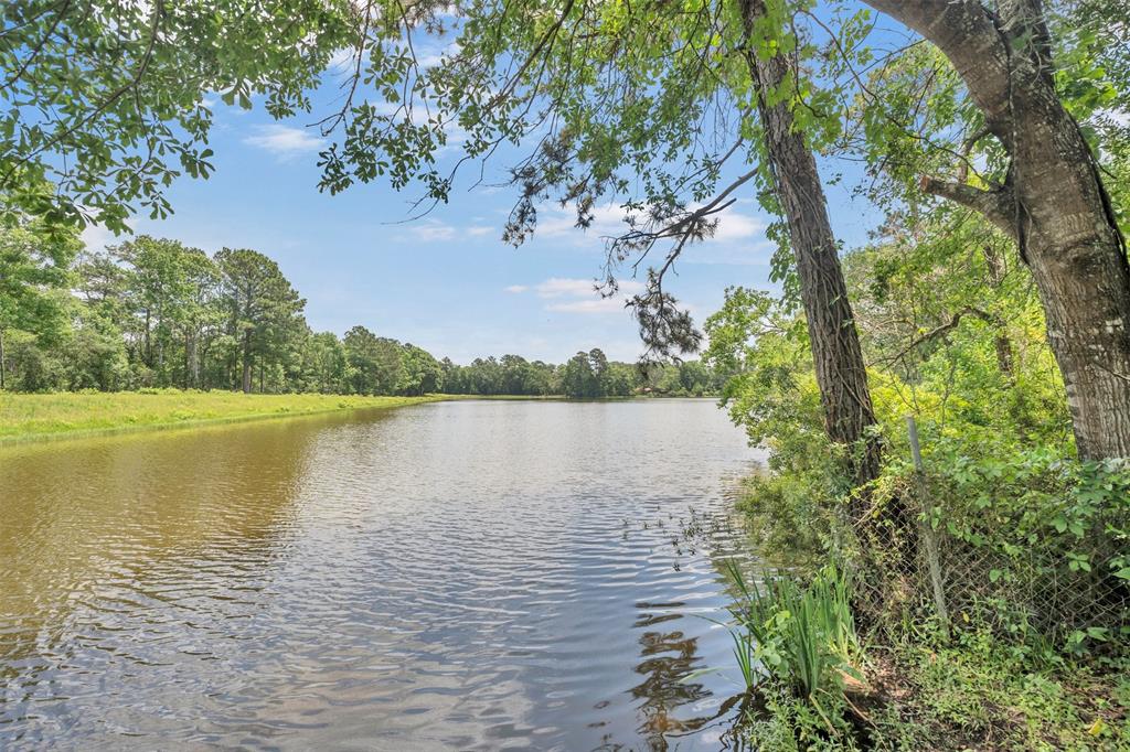 3615 Roy Bean Road, Willis, Texas image 7