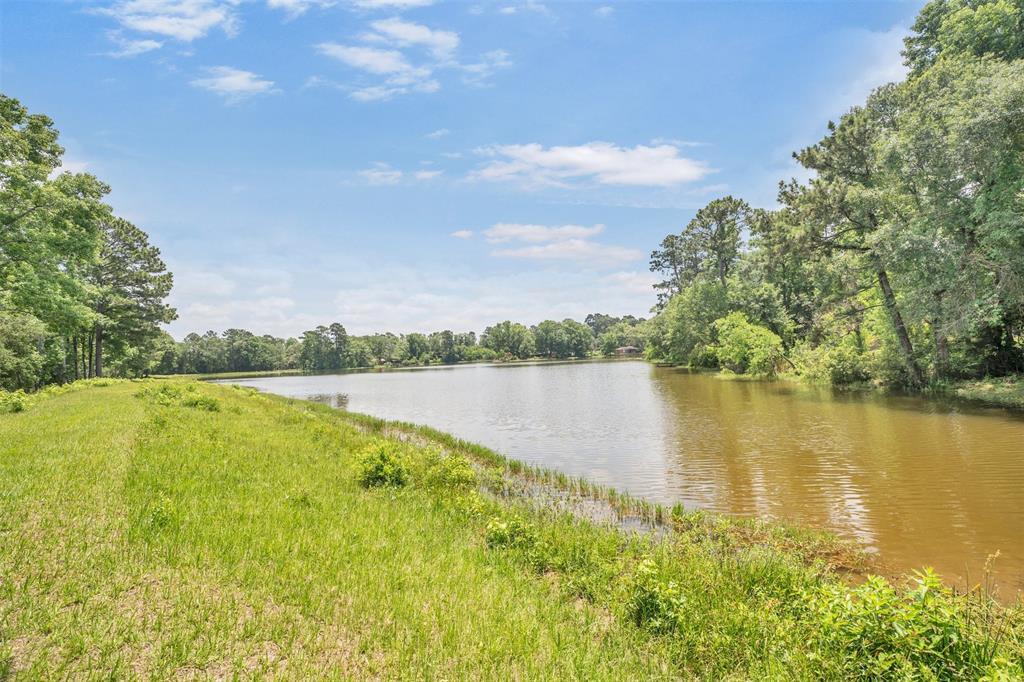 3615 Roy Bean Road, Willis, Texas image 20