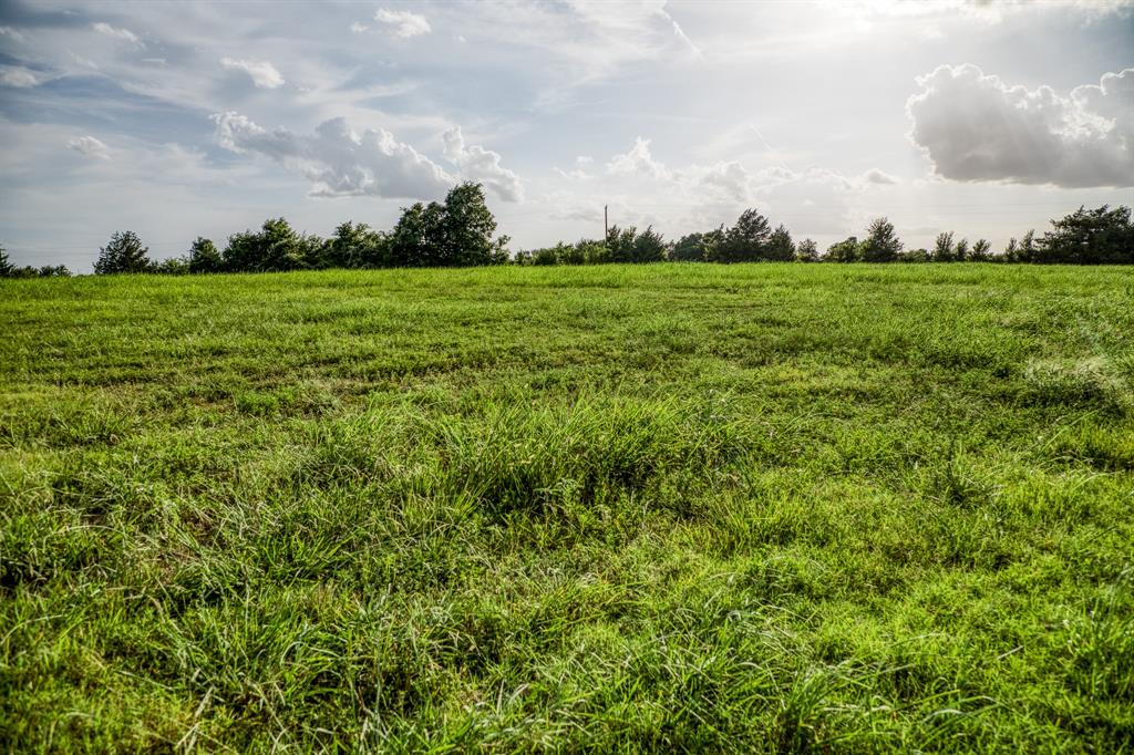 Lot 1 Hargrove Lane, Washington, Texas image 6