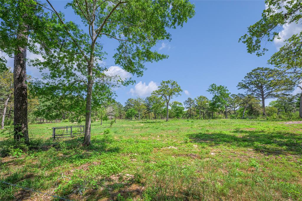1130 Old Highway 36 Road, Bellville, Texas image 30