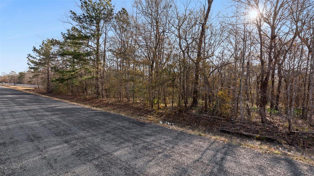 TBD Rhonda Rosa Road, Wallisville, Texas image 8