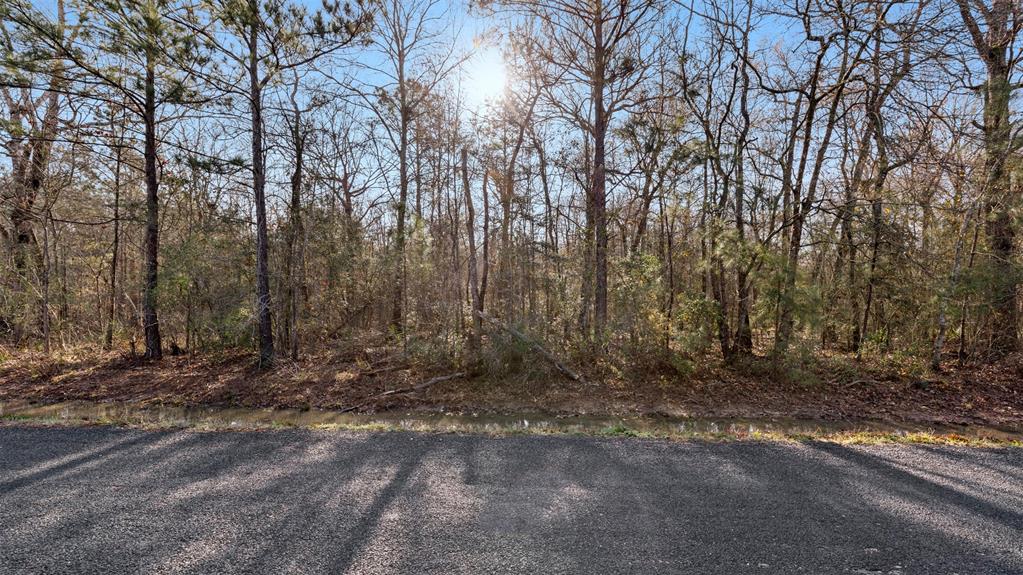 TBD Rhonda Rosa Road, Wallisville, Texas image 1