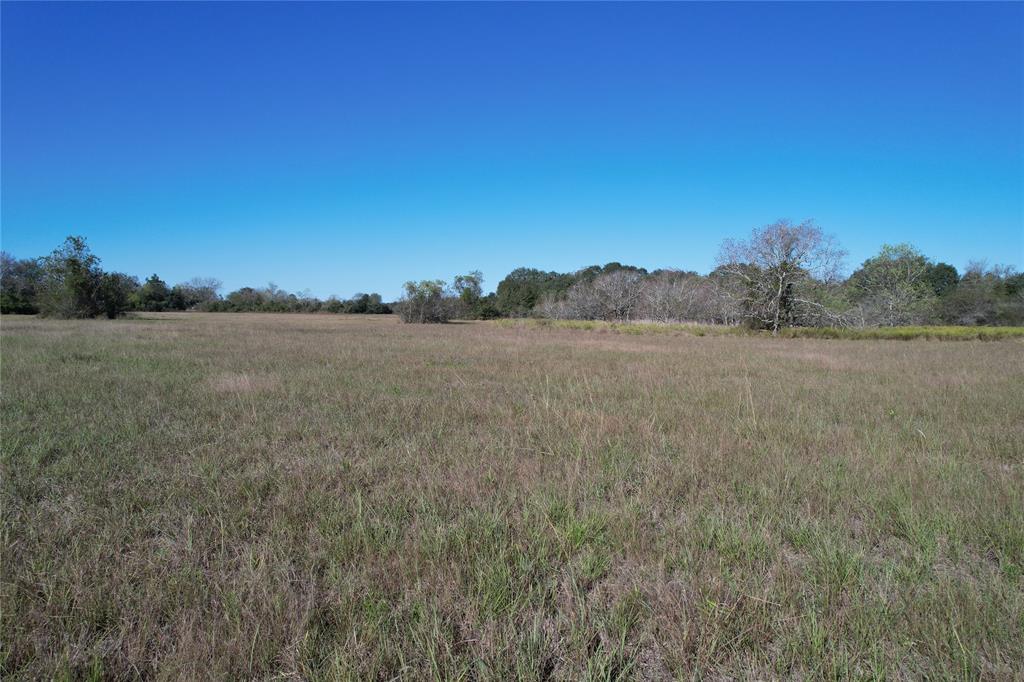 Tract 2 Tinkler Street, Rock Island, Texas image 29