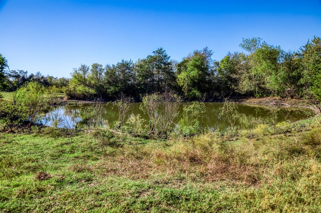 02 Sawmill Road Tract 2, Brenham, Texas image 4