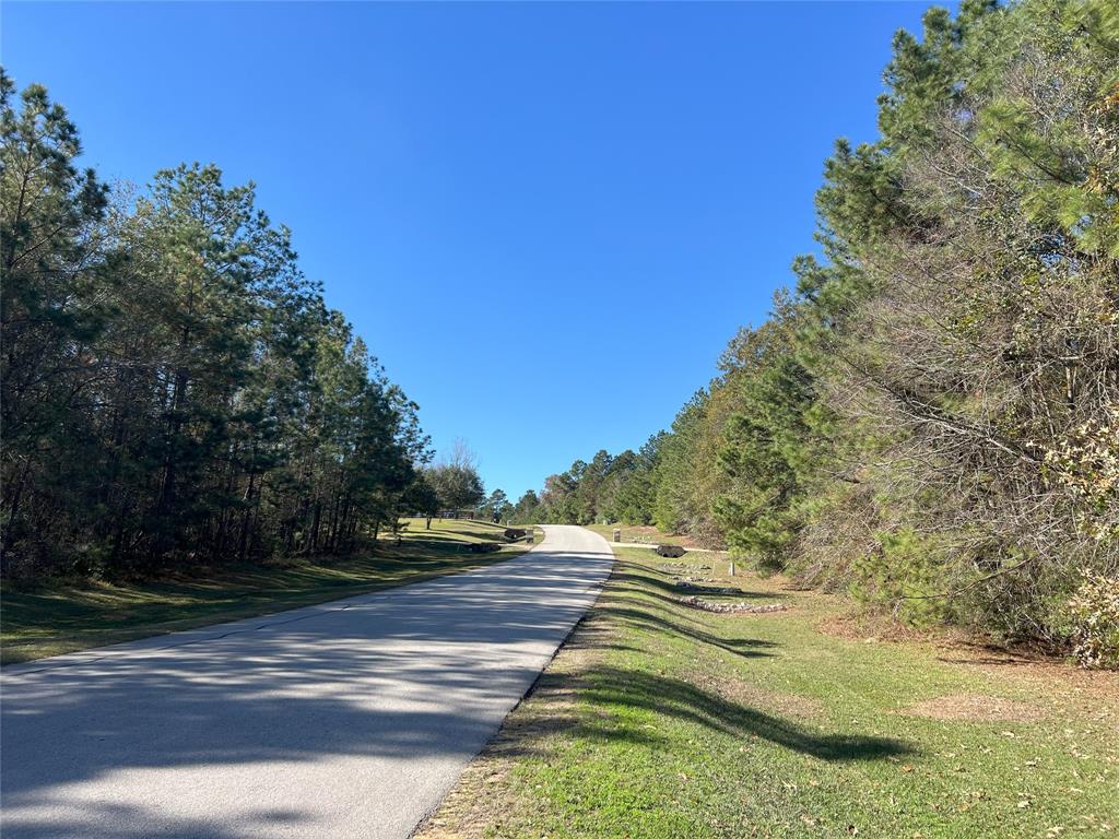 26173 Crown Ranch Boulevard, Montgomery, Texas image 16