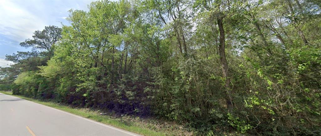 Firetower Rd, Conroe, Texas image 3