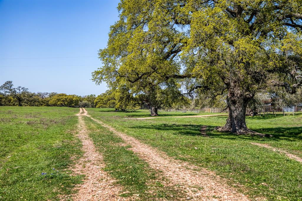 9502 Seward Plantation Road, Brenham, Texas image 9