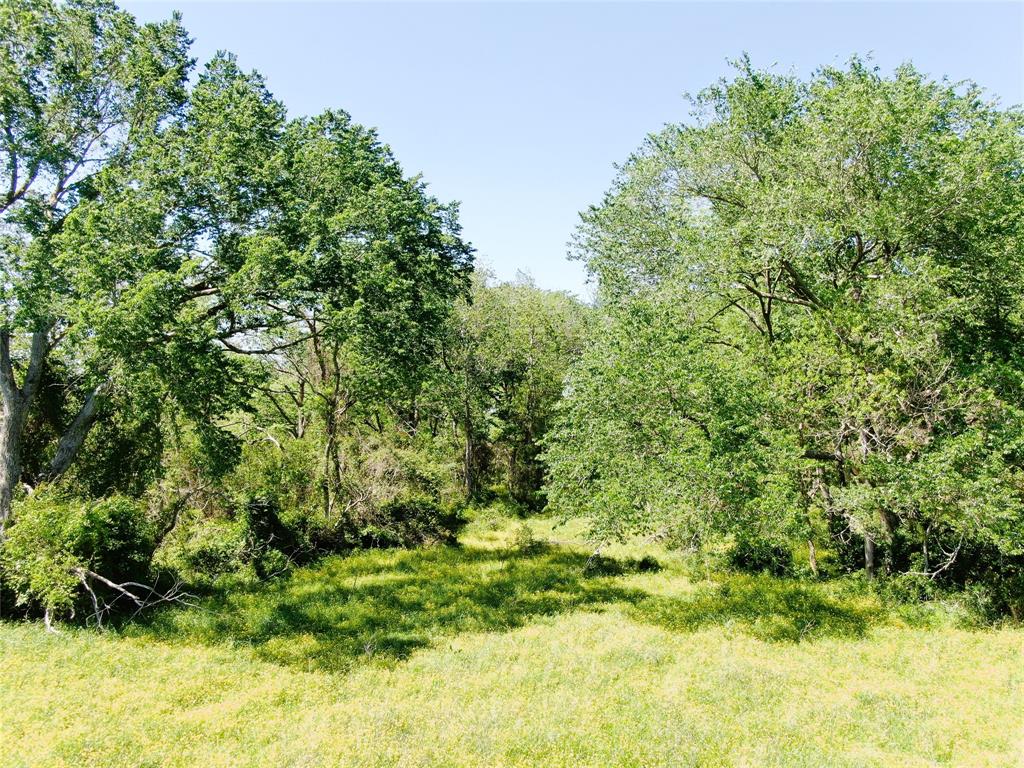 7170 Fm 1456 Road, Bellville, Texas image 9